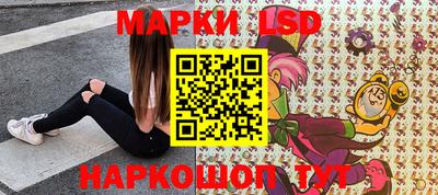 шишки Изобильный