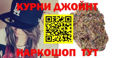 шишки Изобильный