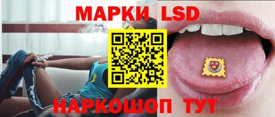 шишки Изобильный