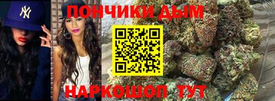 шишки Изобильный
