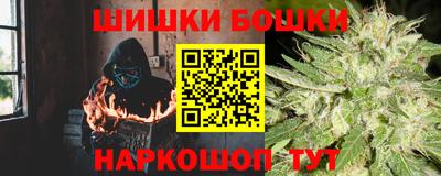 шишки Изобильный
