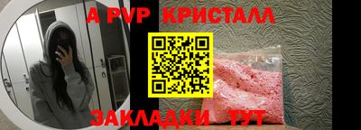 шишки Изобильный