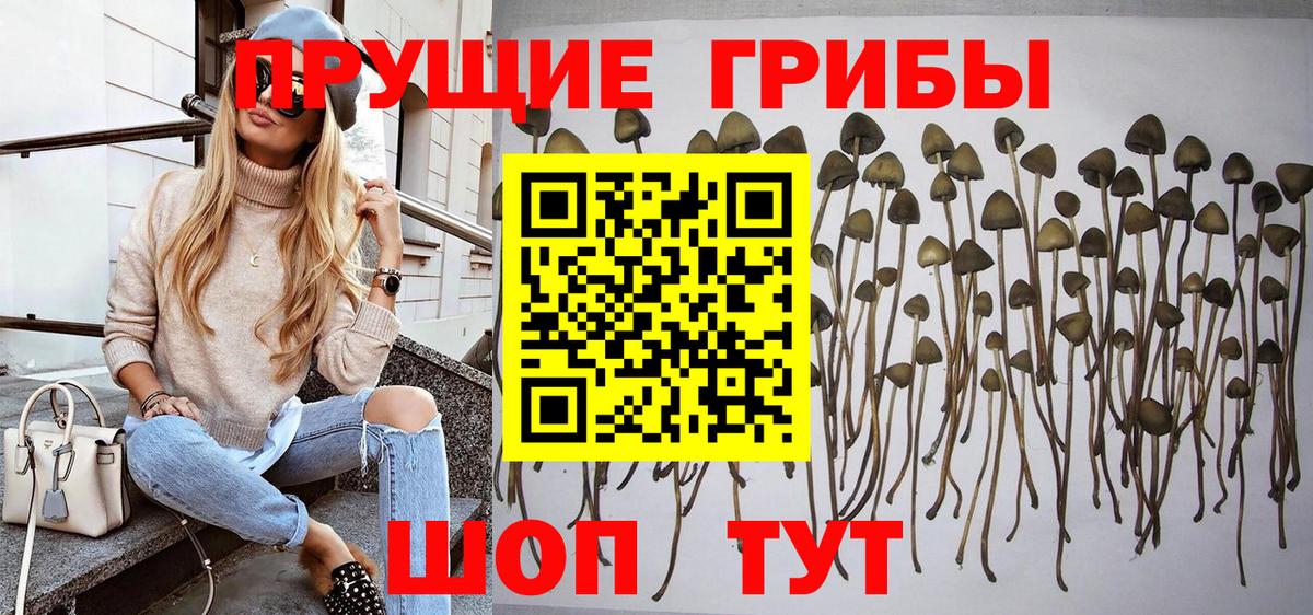 Псилоцибиновые грибы Magic Shrooms Сергиев Посад