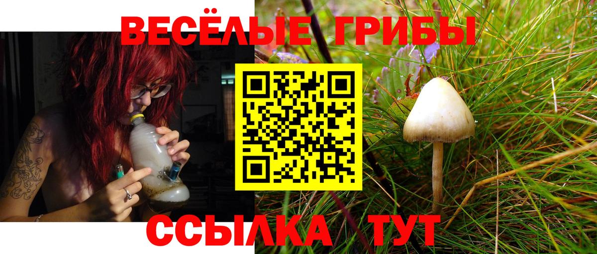 Галлюциногенные грибы прущие грибы  Галлюциногенные грибы Cubensis  Вход с VPN  Сергиев Посад 
